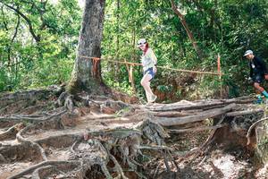 BIB: 
                            <button type="button" onclick="openModal(27720794)" class="btn btn-primary btn-sm float-right btn-popup" data-toggle="modal" data-target=".modal-high-quality">
                        <i class="fas fa-shopping-cart"></i> Add to Cart
                    </button>
                                            <button type="button" onclick="isThisMe(27720794, true)" class="btn btn-success btn-sm float-right btn-popup btn-isme hidden" data-toggle="tooltip" data-placement="bottom" title="นี่คือรูปของคุณใช่ไหม คลิกที่นี่เพื่อเอาเข้าอัลบั้ม">
                        <i class="fas fa-plus"></i> Add to album
                    </button>
                    <button type="button" onclick="isThisMe(27720794, false)" class="btn btn-warning btn-sm float-right btn-popup btn-isnotme hidden">
                        <i class="fas fa-ban"></i> Remove from album
                    </button>